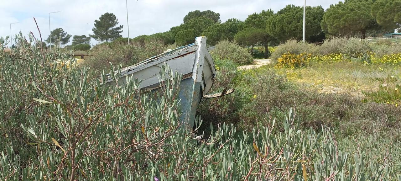 Casa Do Pinheiro - Parque Natural Da Ria Formosa. Tavira Ngoại thất bức ảnh