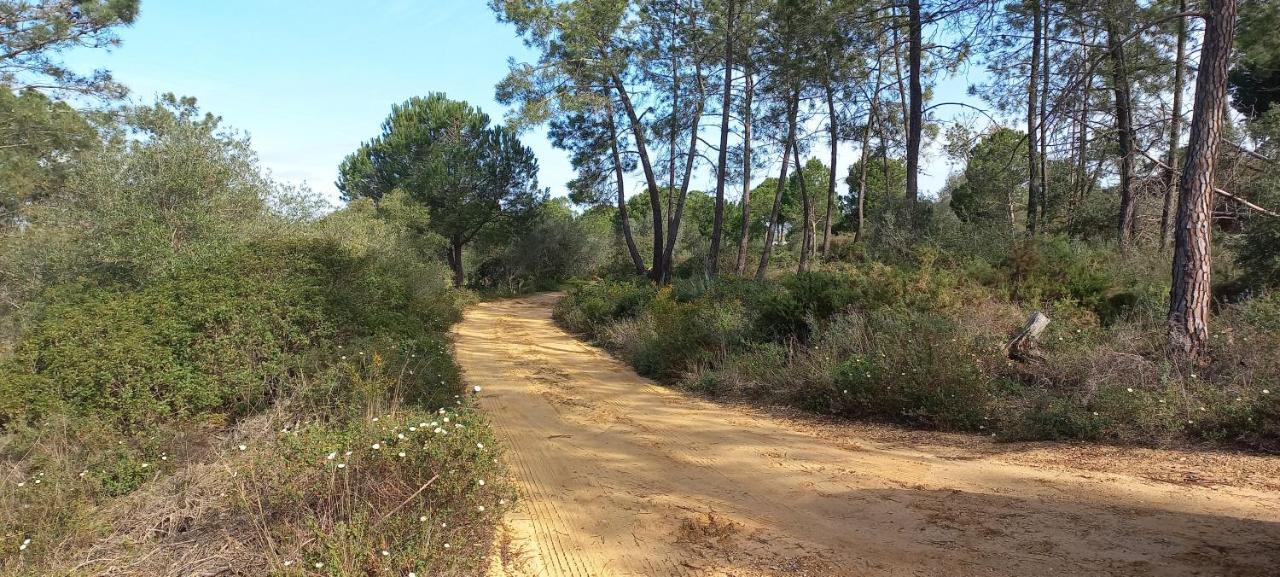 Casa Do Pinheiro - Parque Natural Da Ria Formosa. Tavira Ngoại thất bức ảnh